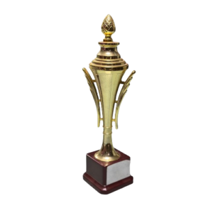 06-removebg-preview Awards & Recognitions