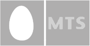 Company name